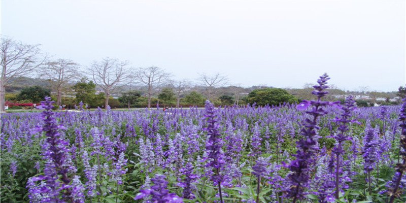 永記生態(tài)園門票價格-永記生態(tài)園門票預(yù)訂-永記生態(tài)園
