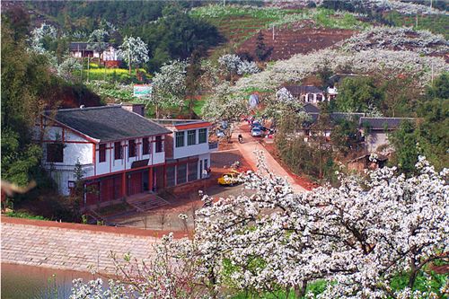 探秘“這就是開佛”生態園 自然與人文的和諧交融