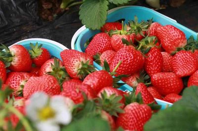 放假了，一定要去生態園的6個理由！